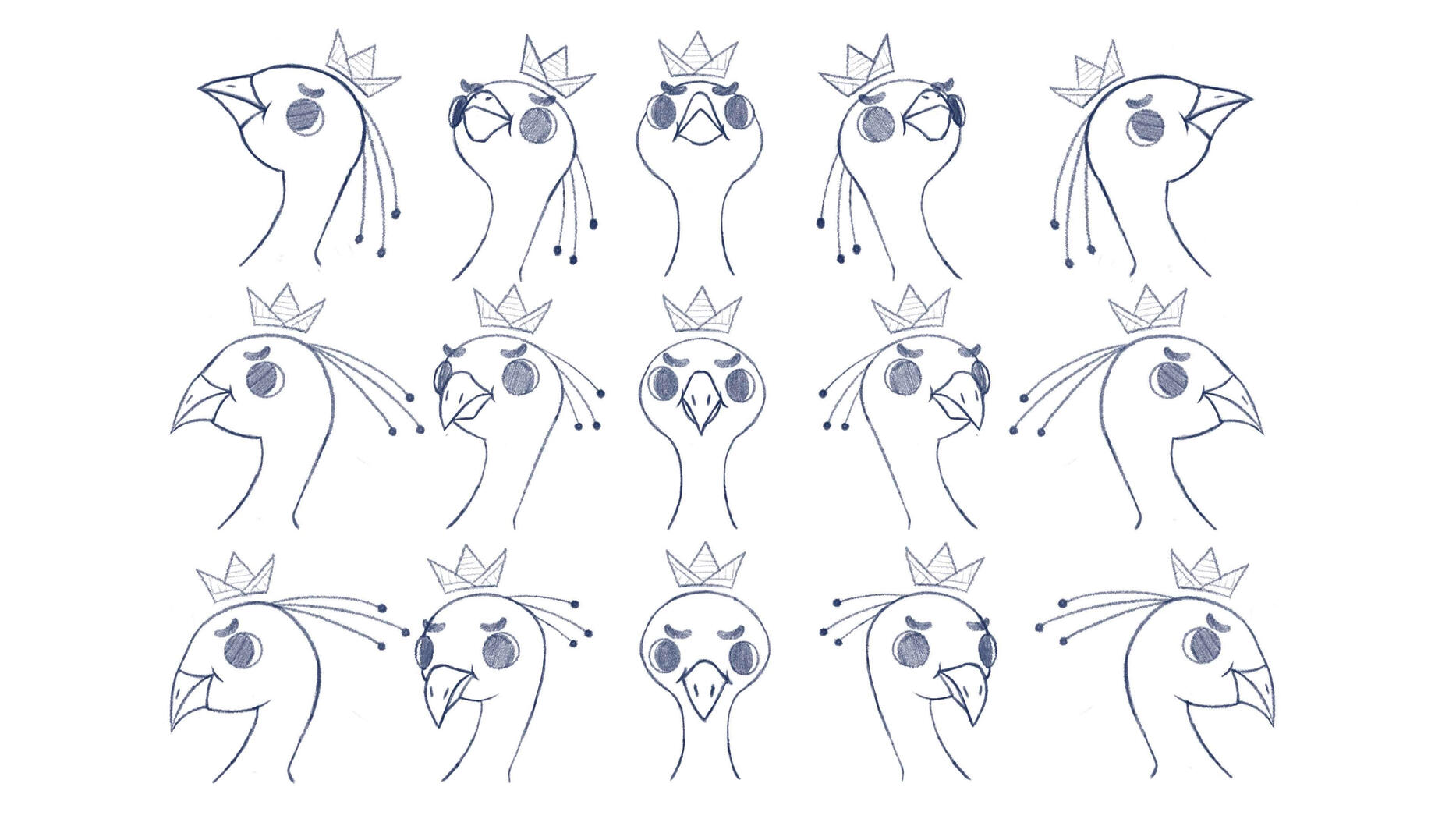 Flavius Pavo - Head Grid Flavius Pavo - Head Grid