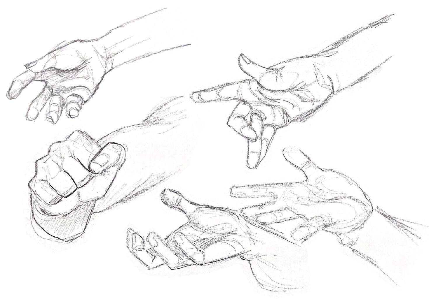 Figure Studies Figure Studies
